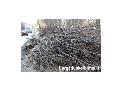  saku isvezimas Gargzdai