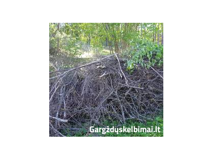  SAKU ISVEZIMAS GARGZDAI, VAITELIAI, SERNAI