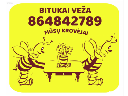  Senų baldų išvežimas (utelizavimas)